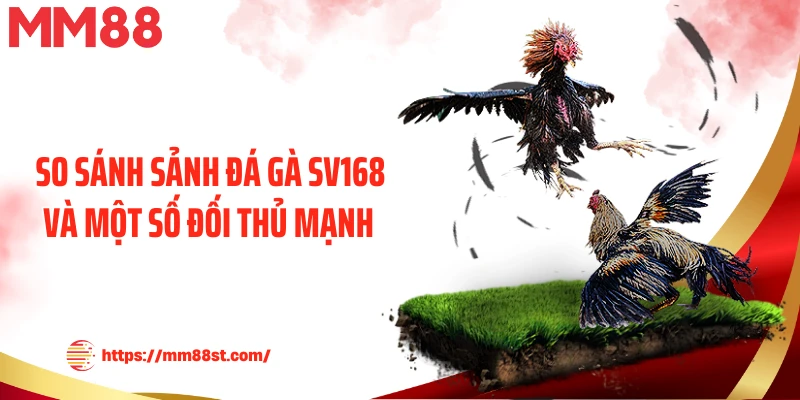 So sánh sảnh đá gà Sv168 và một số đối thủ mạnh